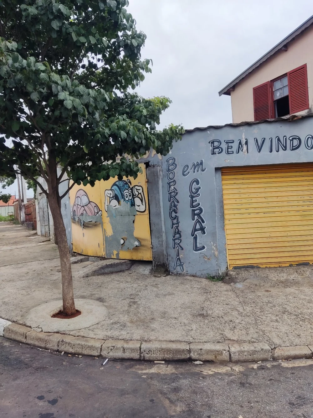 Borracharia